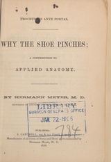 Procrustes ante portas: why the shoe pinches : a contribution to applied anatomy