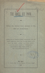 The Odell ice pond: what the grand jury present in the bill of indictment : affidavits of distinguished physicians and experts, showing that the Willsea Brook is in fact an open "sewer" and that septic and malarial poison is necessarily developed by the overflowing of the adjacent meadow-land