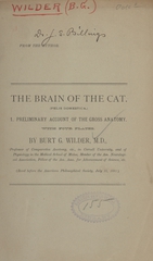 The brain of the cat (Felis domestica). 1, Preliminary account of the gross anatomy