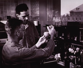 [Two men examining a vial possibly containing flu virus]