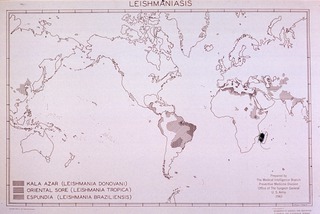 [World map showing incidence of leishmaniasis]