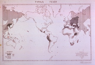 Typhus Fever