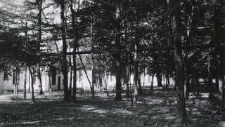 Base Hospital No. 1. Bordeaux, France: The oldest oaks in France shelter some of the wards from the sun