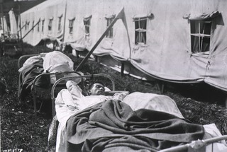 U.S. Army Veterinary Hospital No. 6, Neufchateau, France: Wounded soldiers at the hospital