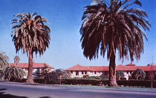 U.S. Army. Letterman General Hospital, Presidio, San Francisco, Ca: Exterior view