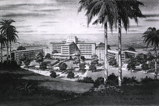 U.S. Army, Tripler General Hospital, Honolulu, Hawaii: General view from plan