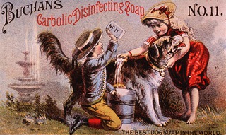 Buchan's Carbolic Disinfecting Soap No. 11: the best dog soap in the world