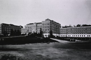 Glen Lake Sanatorium, Oak Terrace, Minn: Panoramic view