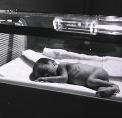 Middlesex Hospital, London, England: Premature baby in incubator