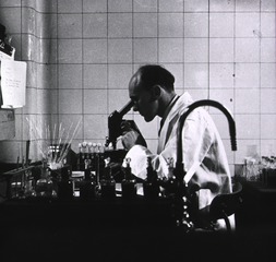 Middlesex Hospital, London, England: Bacteriologist looking through microscope