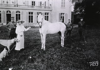 U.S. American National Red Cross Convalescent Hospital No. 8, Verrieres, France: Mrs. Corey's home for Convalescent officers, with owner, some officers and some animals
