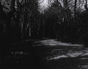 U.S. American National Red Cross Hospital No. 21, Paighnton, England: View of a roadway through the grounds