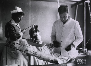 U.S. American National Red Cross Hospital No. 109, Évreaux, France: Doctor and nurse redressing a wound