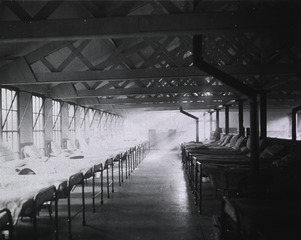 U.S. American National Red Cross Hospital No.4, Liverpool, England: Interior view- Contagious Ward