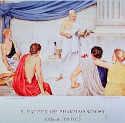 5. Father Of Pharmacognosy (About 300 B.C.)