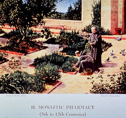 11. Monastic Pharmacy (5th to 12th Centuries)