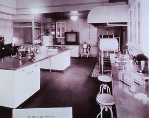 [Bacteriology section of a hospital laboratory]