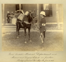 Medicine - Military - Equipment: Pack Saddle Medical Department and medical and surgical chests in position, Fort Myer, Virginia