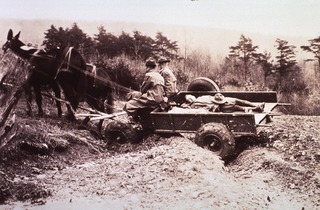 Ambulances- Horsedrawn: General view (note inflated rubber tires)