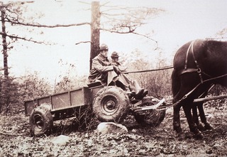 Ambulances- Horsedrawn: General view (note inflated rubber tires)