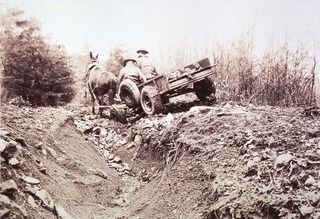 Ambulances- Horsedrawn: General view (note inflated rubber tires)