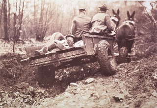 Ambulances- Horsedrawn: General view (note inflated rubber tires)