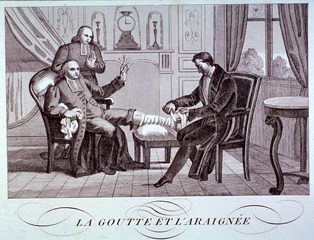 Gout: La Goutte Et L'Araignée. [La Fontaines Fables]