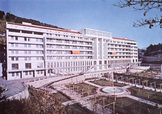 [Trieste Sanatorium and other tuberculosis hospitals]