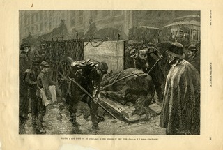 Placing a Sick Horse on an Ambulance in the Streets of New York