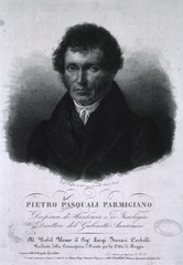 Pietro Pasquali Parmigiano: Professore di Anatomia e di Fisiologia Direttore del Gabinetto Anatomico