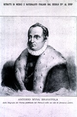 Antonio Musa Brasavola