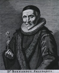 Dr. Bernardus Paludanus