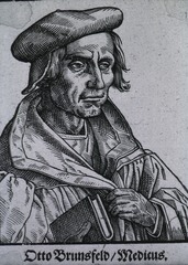 Otto Brunsfeld. Medicus