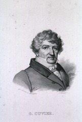 G. Cuvier