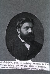 Julius Cohnheim, Prof. der pathalog