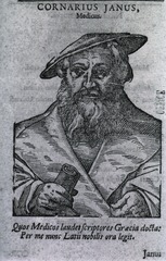 Cornarius Janus, Medicus