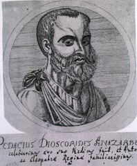 Pedacius Dioscorides Anazarbeus