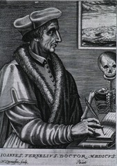 Joannes Fernelius, Doctor Medicus