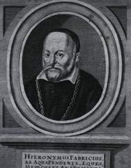 Hieronymus Fabricius Ab Aquapendente, Eques, Medicus Et Anatomicus