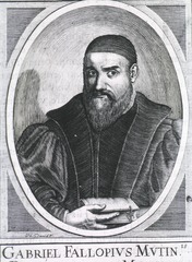 Gabriel Fallopius