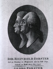Joh. Reinhold Forster [and] Georg Forster