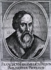Franciscus Frigimelica Patavin. Philosophiae Professor