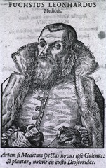 Fuchsius Leonhardus
