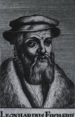 Leonhardus Fuchsius