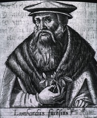 Leonhardus Fuchsius