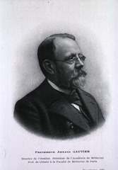 Professeur Armand Gautier