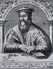 Conradus Gesnerus Medicus et Philosophus