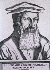 D. Conradus Gesnerus, Archiatrus