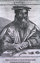 Conradus Gesnerus, Philos