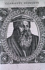 Conradus Gesnerus
